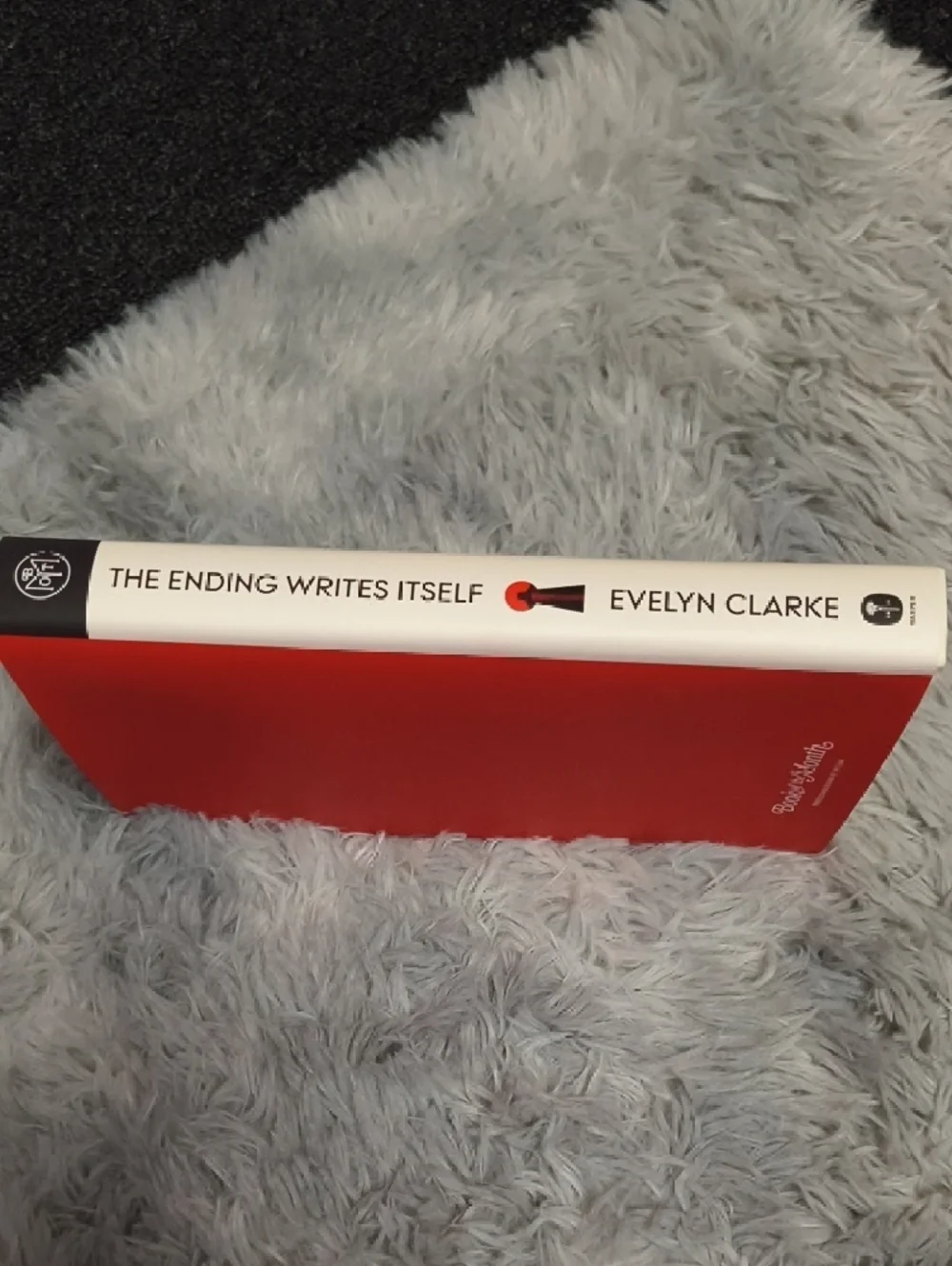 BOTM - Picture 5 of 6